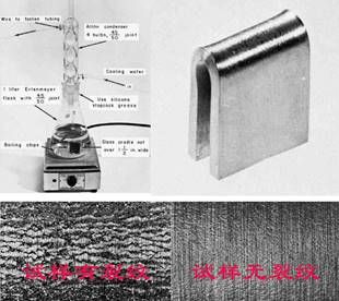 201612051480901812664632.jpg