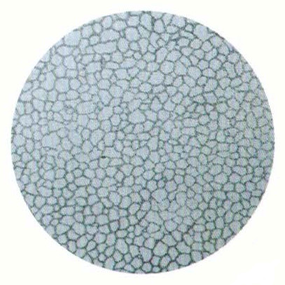 标准金相 奥氏体晶粒度试样···