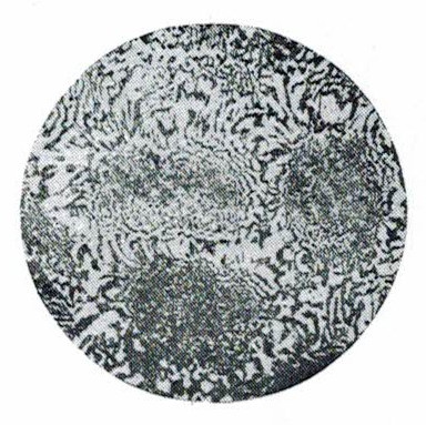 标准金相 Pb-Sn两元合金相···